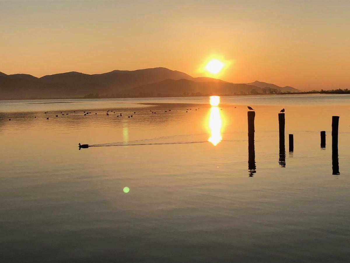 Vista Lago Torre del Lago Puccini Dış mekan fotoğraf